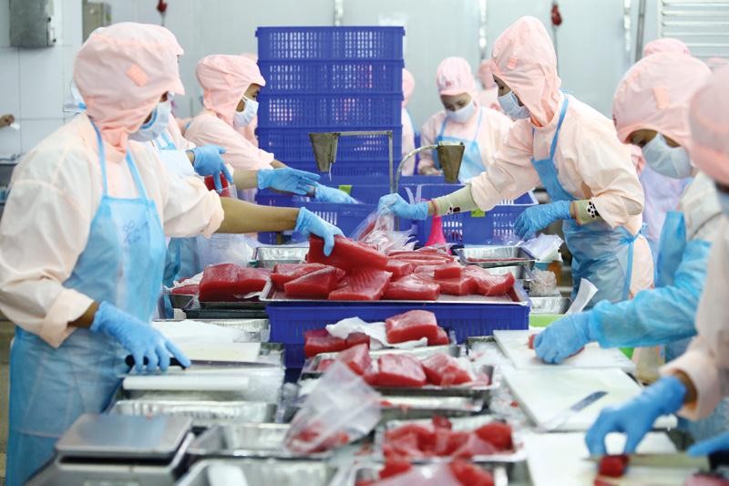 Xuất khẩu thủy sản của Việt Nam 3 tháng cuối năm có thể đạt khoảng 2,3 tỷ USD. Ảnh minh hoạ: Đức Thanh