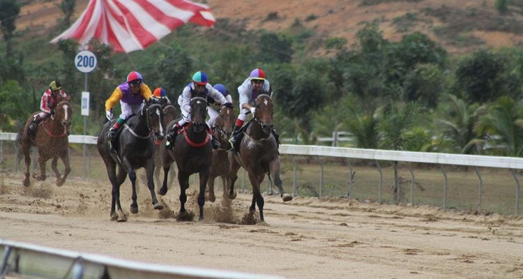 Ảnh minh họa Ảnh minh họa