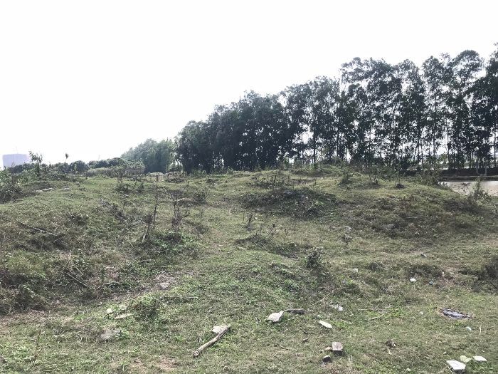 Hiện trạng một góc diện tích thuộc Dự án Khu Giáo dục Nguyễn Trãi.