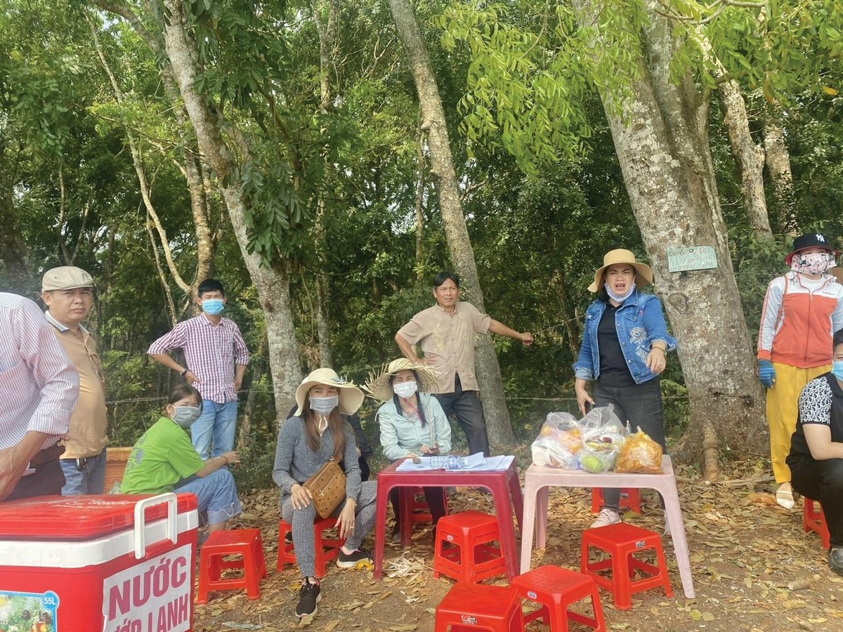 Các môi giới chuyên và không chuyên tập trung ở các “điểm nóng” Các môi giới chuyên và không chuyên tập trung ở các “điểm nóng”