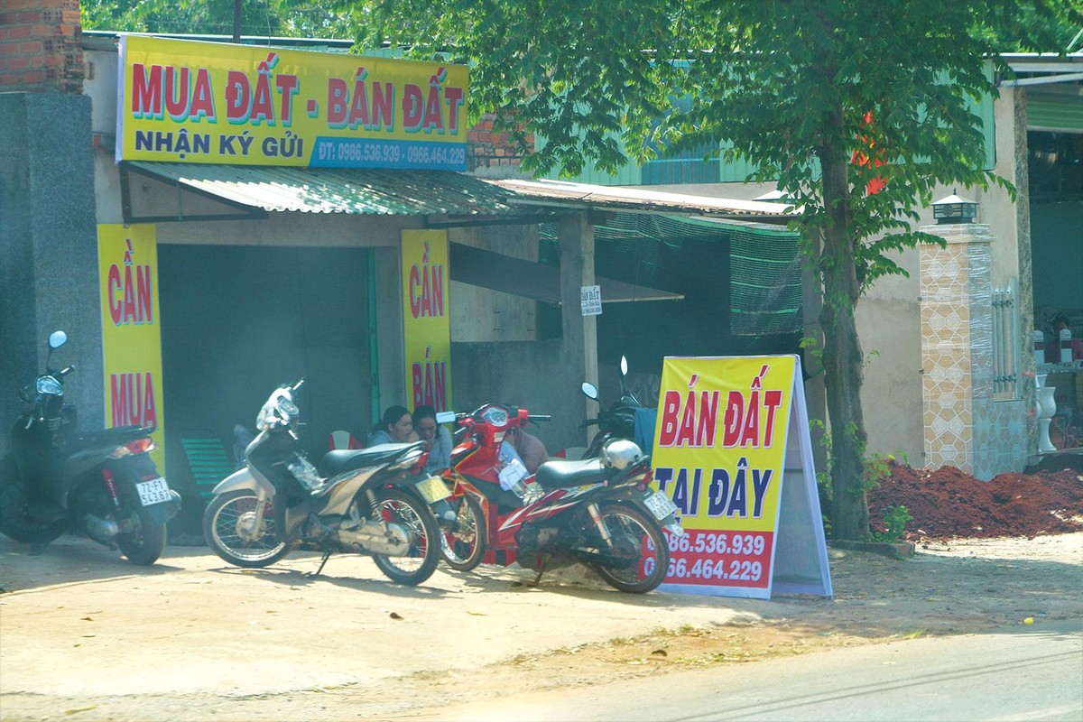 Cảnh quen thuộc ở nhiều miền quê. Ảnh: Tăng Triển