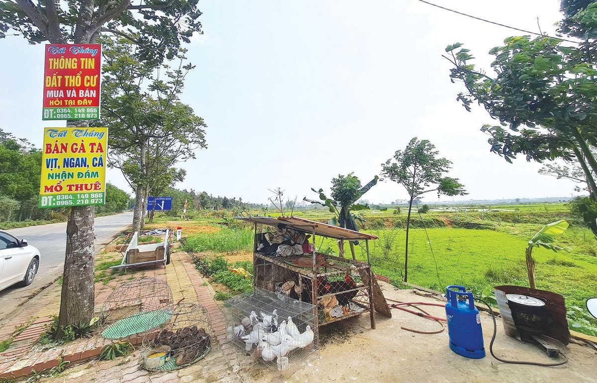 Giá đất nền ở nhiều địa phương liên tục tăng nóng. Ảnh: Dũng Minh Giá đất nền ở nhiều địa phương liên tục tăng nóng. Ảnh: Dũng Minh