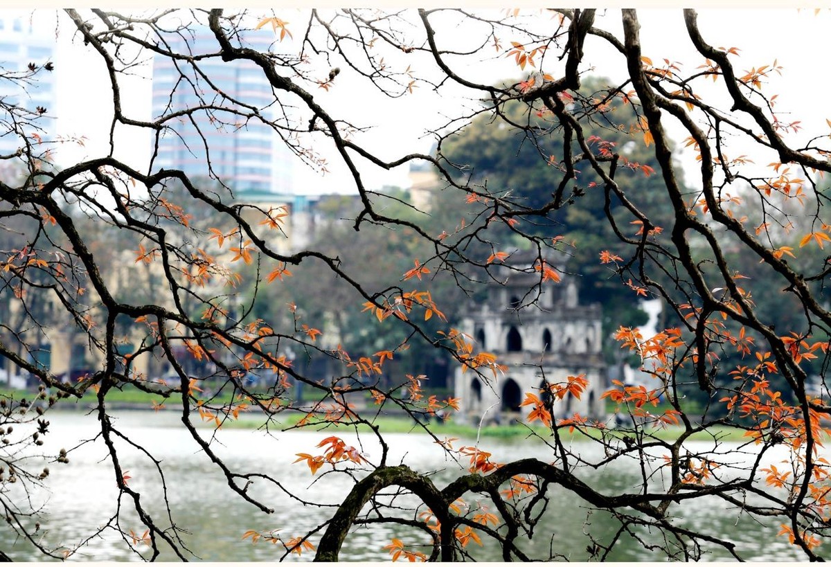 Vẻ đẹp hồ Gươm mùa lá non (Ảnh: Hồ Hạ) Vẻ đẹp hồ Gươm mùa lá non (Ảnh: Hồ Hạ)