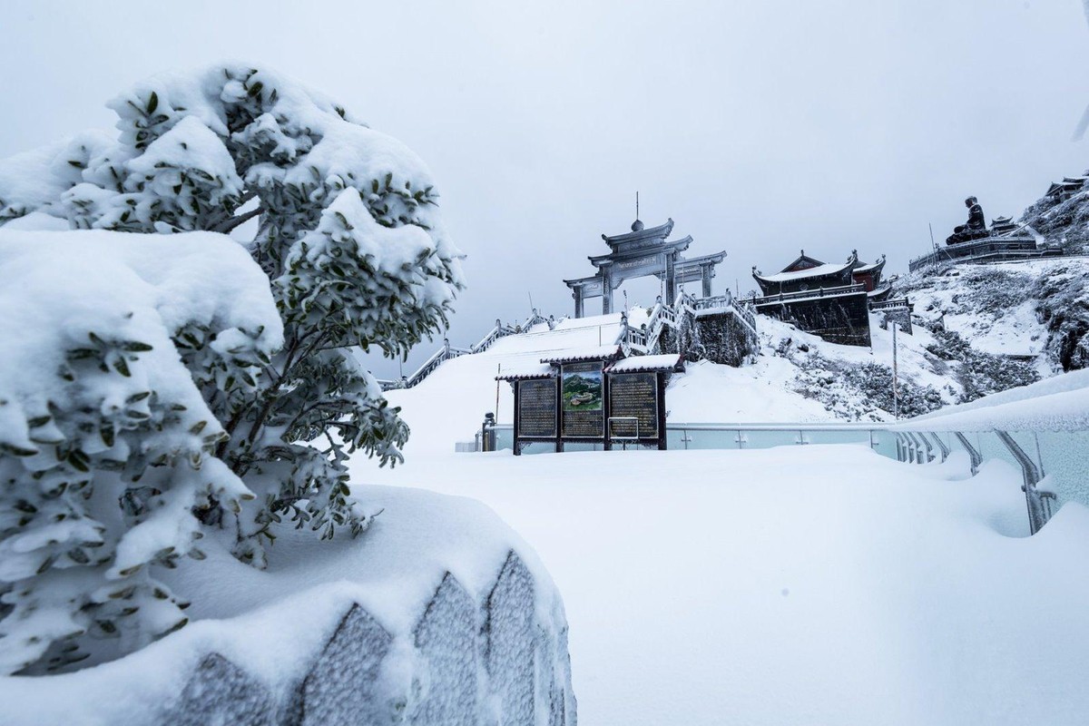 Triền núi tuyết trắng xóa "độc nhất vô nhị" ở Việt Nam. Triền núi tuyết trắng xóa "độc nhất vô nhị" ở Việt Nam.