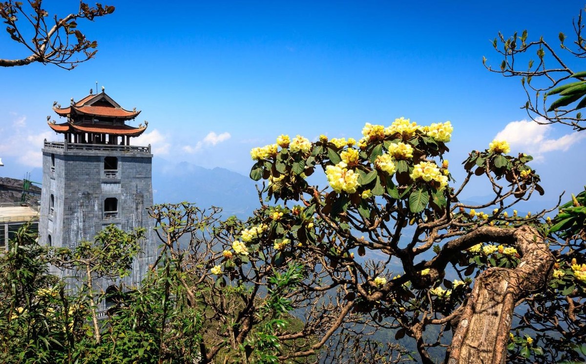 Lễ hội hoa đỗ quyên thường được tổ chức vào tháng 4 hàng năm. Lễ hội hoa đỗ quyên thường được tổ chức vào tháng 4 hàng năm.