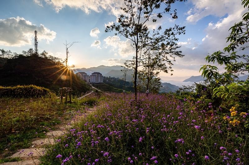 Lạc bước trong khung cảnh thần tiên ấy, ai cũng sẽ ao ước giá như thời gian ngừng trôi để được giữ mãi cảm xúc kỳ diệu này.