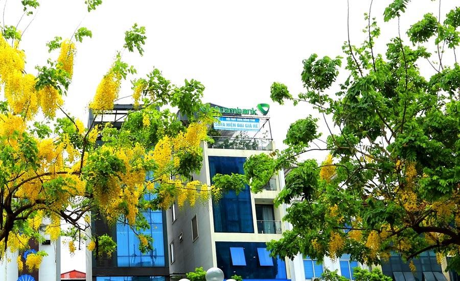 Mùa hè bầu trời trong và xanh hơn, phong cảnh đẹp nhất năm khi trời xanh, mây trắng và nắng vàng hơn, là điều kiện ánh sáng thuận lợi để ghi lại những khung cửa sổ tuyệt đẹp của Hà Nội.