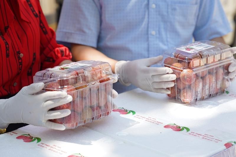 "Vượt Covid-19", vải thiều Lục Ngạn (Bắc Giang) tìm đường xuất ngoại theo Hiệp định EVFTA.