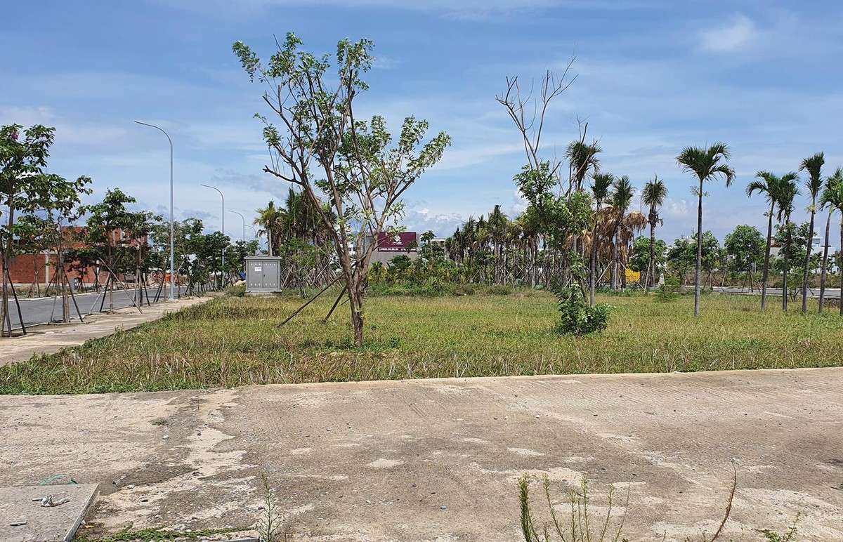 Khu vực được quy hoạch xây dựng công viên tại dự án FPT City Đà Nẵng còn khá sơ sài. Ảnh: Ngọc Tân