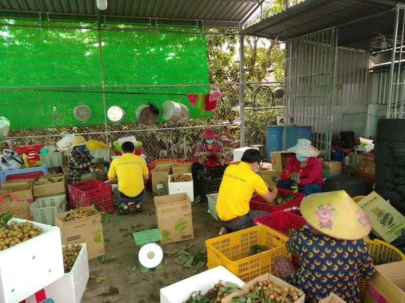 Cung ứng hàng hóa thiết yếu trên Postmart