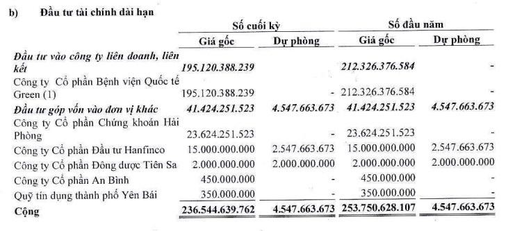 Các khoản đầu tư tài chính dài hạn của Hapaco.