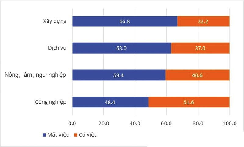 Cơ cấu lao động theo tình trạng việc làm (%)