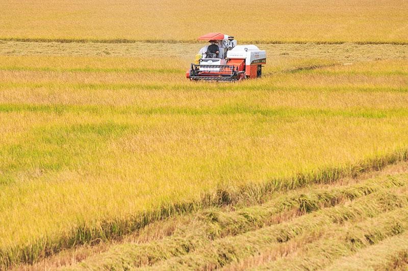 Lý do thu hồi chủ trương đầu tư do nhà đầu tư chấm dứt hoạt động Dự án. Ảnh minh họa