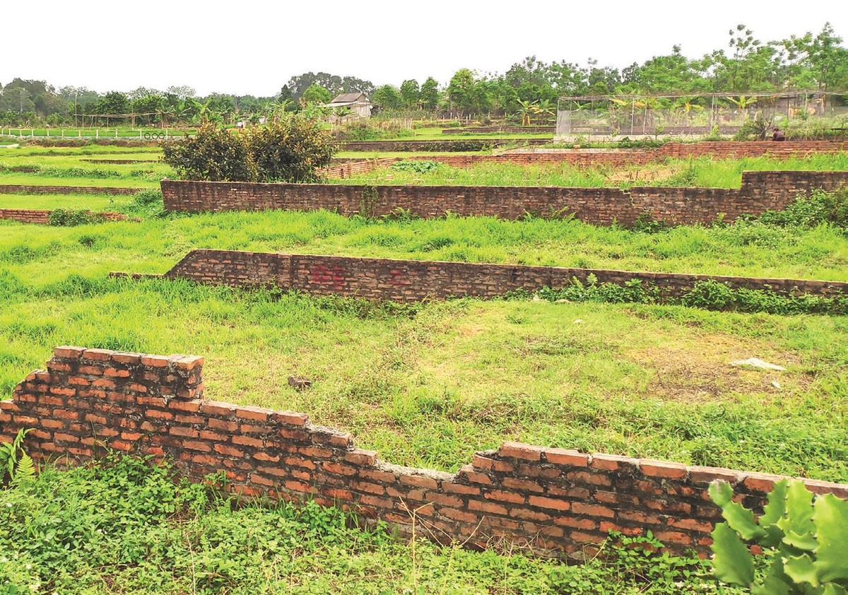 Khác với trước đây, đầu tư đất nền bây giờ không phải “cứ đổ tiền vào là thắng”. Ảnh: Dũng Minh Khác với trước đây, đầu tư đất nền bây giờ không phải “cứ đổ tiền vào là thắng”. Ảnh: Dũng Minh