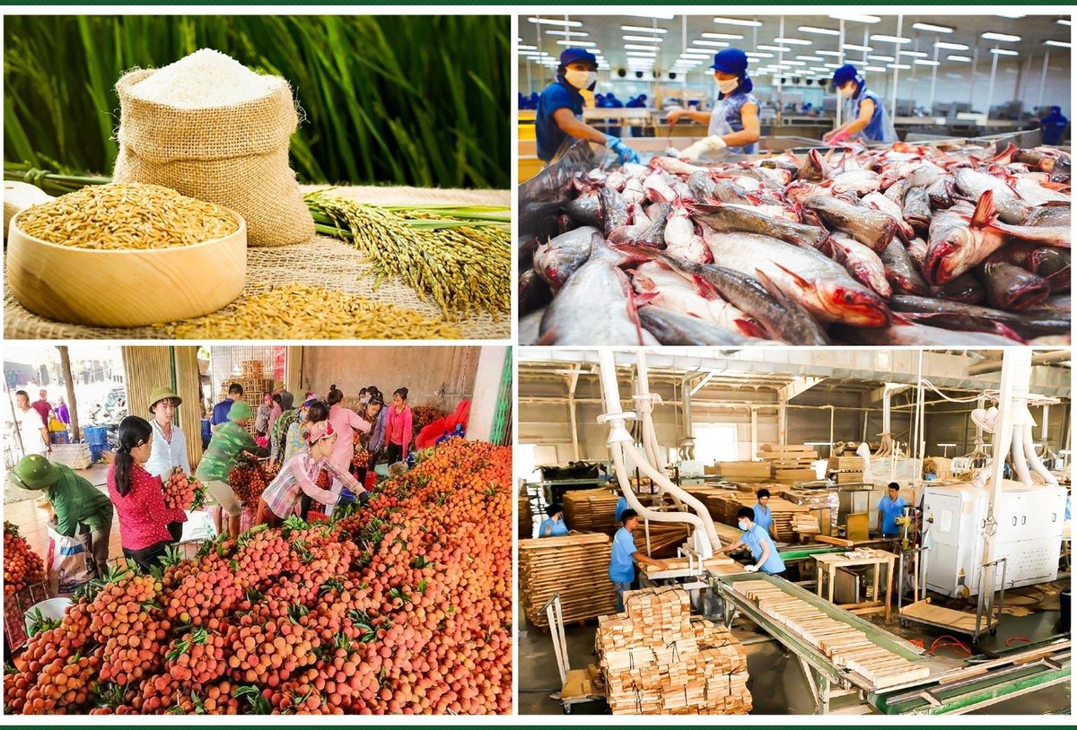 Trong khó khăn, ngành nông nghiệp tiếp tục khẳng định là “trụ đỡ” của nền kinh tế với tăng trưởng ấn tượng.