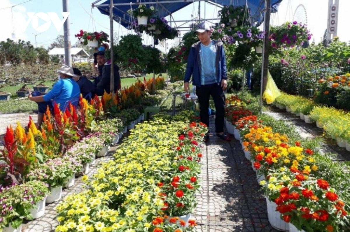 Chợ hoa Tết Đà Nẵng mọi năm thu hút đông đảo người dân trên địa bàn thành phố đến tham quan, mua sắm.