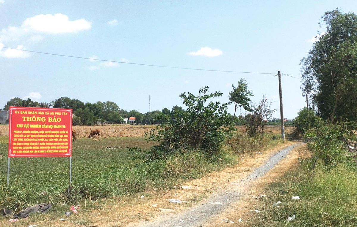 Ảnh: Trọng Tín Ảnh: Trọng Tín