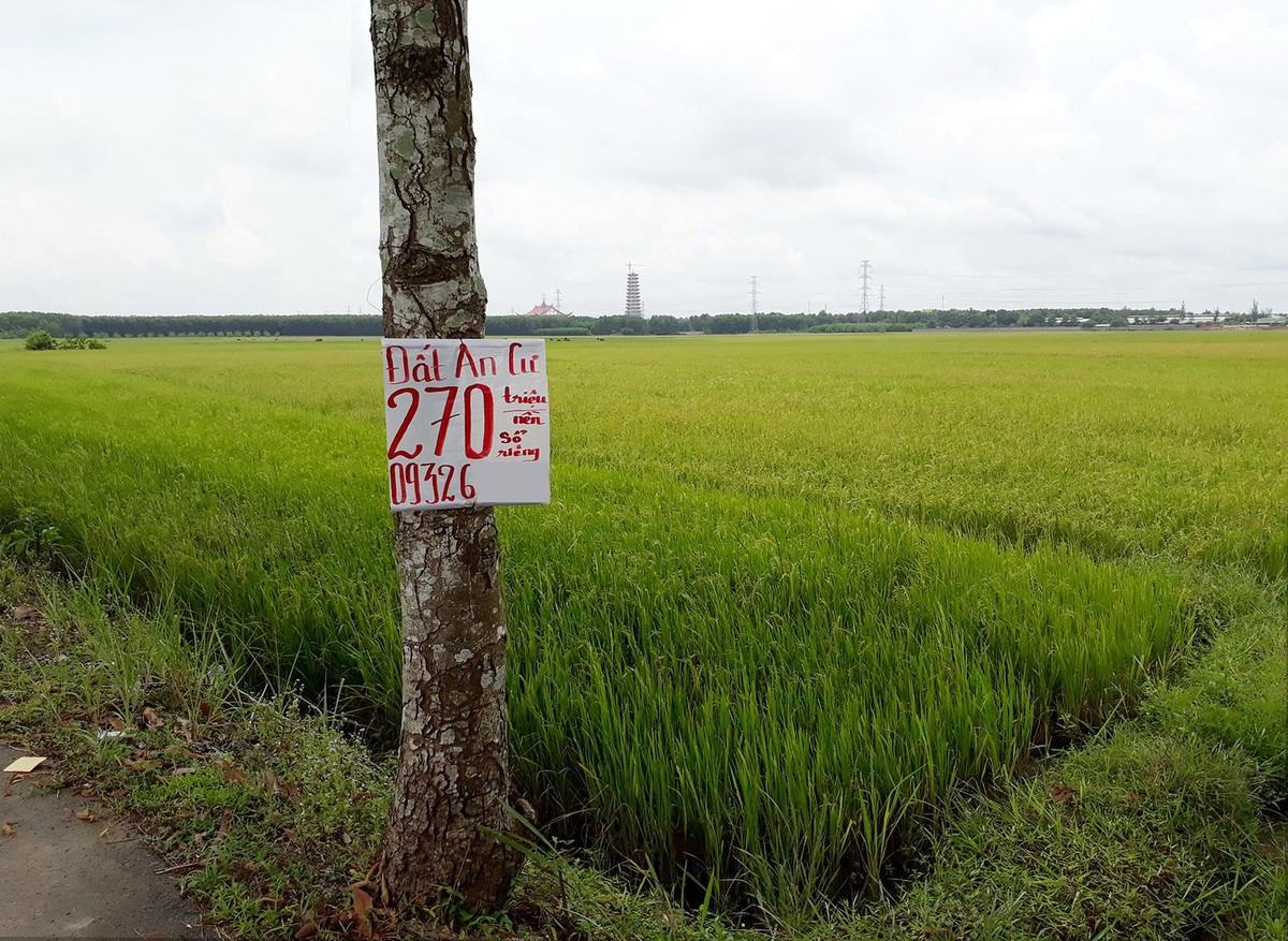 Không dễ chuyển đổi đất nông nghiệp thành đất thổ cư. Ảnh: Việt Dũng