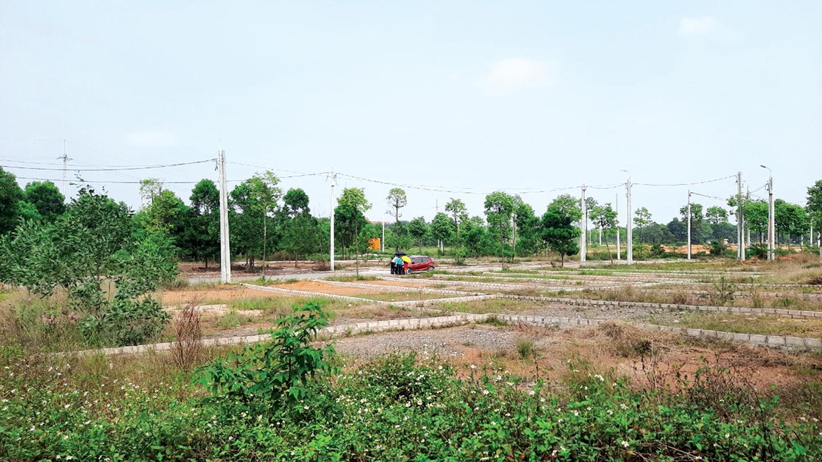 Nhà đầu tư xem đất tại dự án tái định cư Đại học Quốc gia Hà Nội. Ảnh: Thành Nguyễn