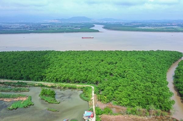 Toàn cảnh khu vực triển khai thực hiện Dự án. Ảnh: Hồng Phong