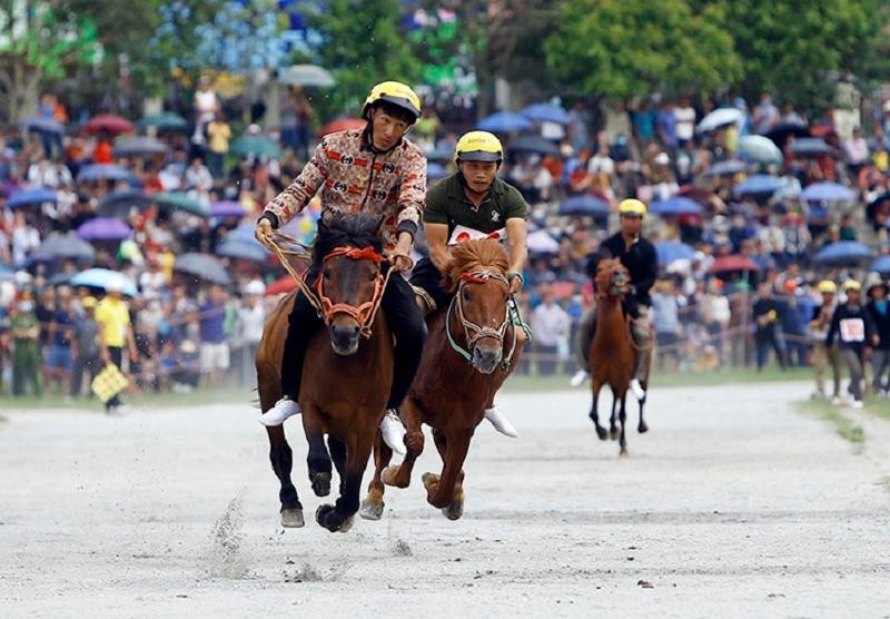 63 kỵ sỹ được chia thành 13 lượt thi đấu