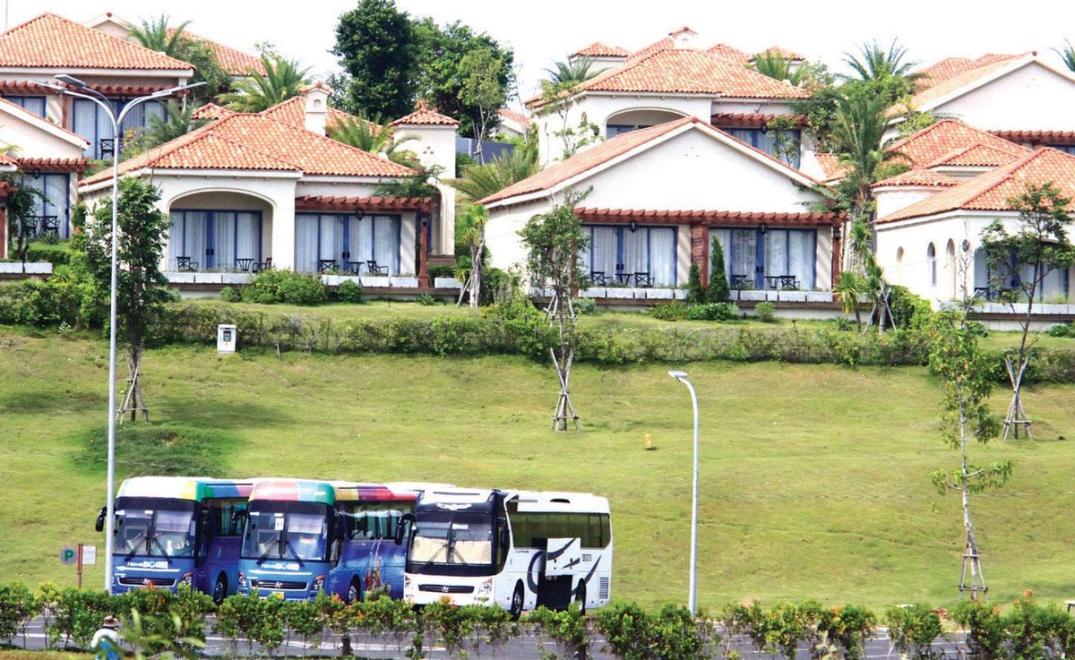 Ảnh: Thành Nguyễn