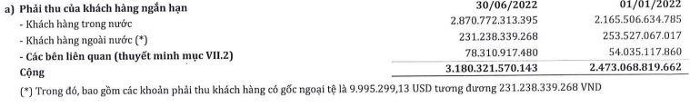 Phải thu của khách hàng ngắn hạn SMC tính tới 30/6/2022 (Nguồn: BCTC).