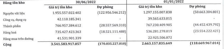 SMC đẩy mạnh tích trữ nguyên liệu và đồng thời trích lập dự phòng giảm giá tồn kho (Nguồn: BCTC).
