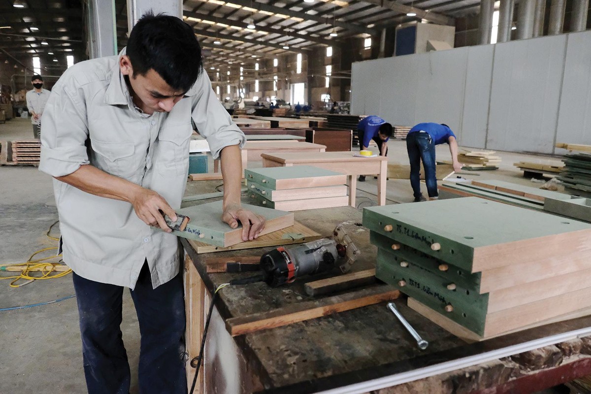 Doanh nghiệp xuất khẩu gỗ “thấm đòn” suy thoái. Ảnh: Dũng Minh