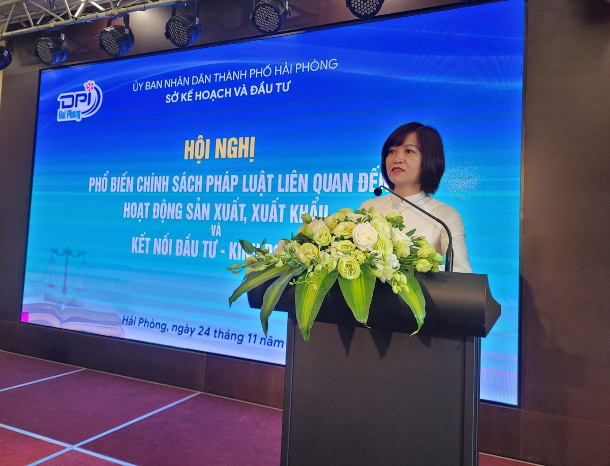 Bà Trần Thị Hải Yến, Phó Giám đốc Sở Kế hoạch và Đầu tư Hải Phòng phát biểu tại Hội nghị