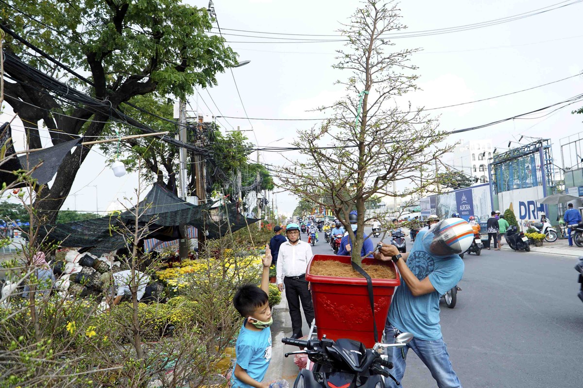 Những cây mai vàng có giá từ 700.000 đồng đến 1.000.000 đồng nhanh chóng có khách mua khi thuyền vừa cập bến.