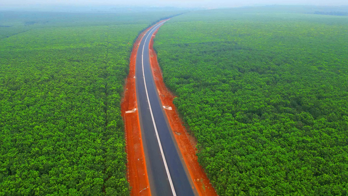 Cao tốc xuyên qua những cánh rừng cao su bạt ngàn tại tỉnh Đồng Nai.