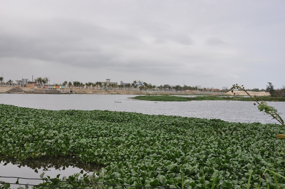 Dự án khơi thông sông Cổ Cò đoạn qua địa bàn tỉnh Quảng Nam.