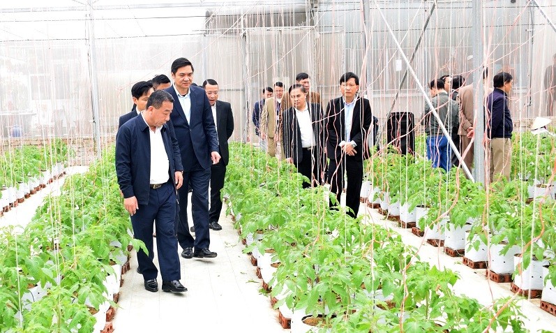 Bộ NNPTNT cho biết, sẽ thí điểm xây dựng bản đồ kết nối du lịch nông nghiệp, nông thôn Việt Nam.