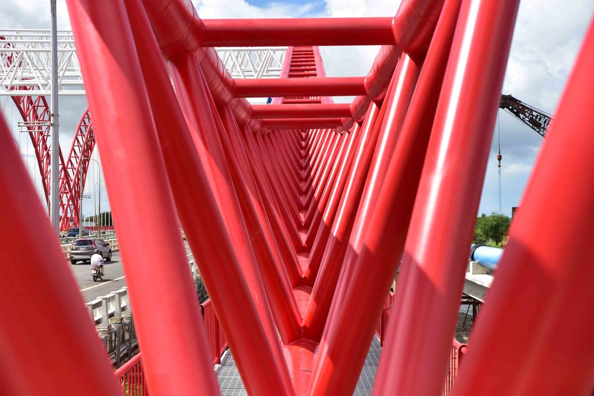 Cánh chim Hải âu được lắp ghép cứng cáp.