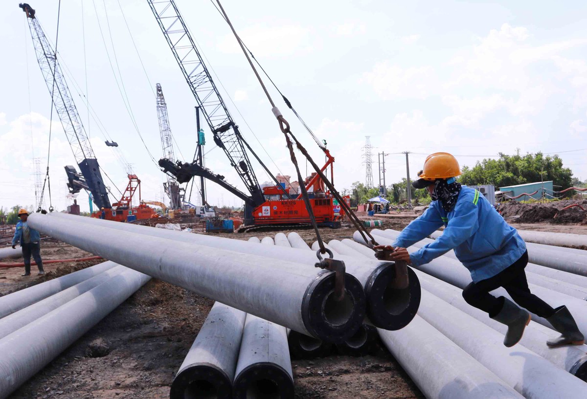 Nhiều cọc liên tục được vận chuyển tới công trình.