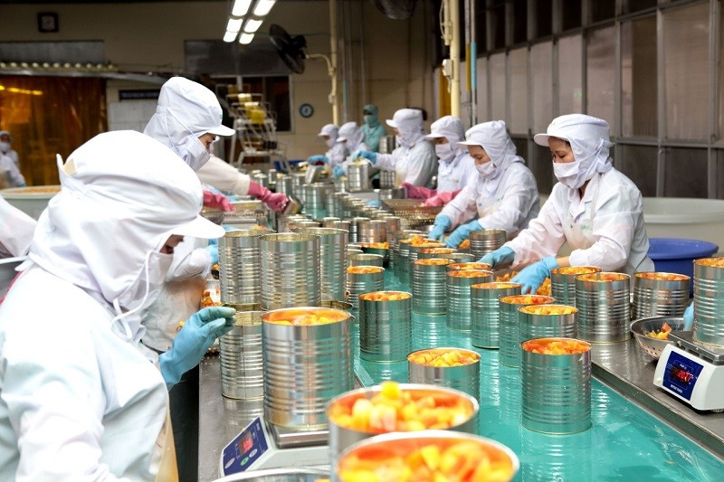 Nhiều ưu đãi khi đầu tư vào Trung tâm liên kết, sản xuất, chế biến, tiêu thụ sản phẩm nông nghiệp vùng ĐBSCL tại Cần Thơ. Ảnh minh họa