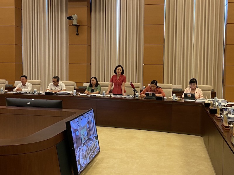 Đại biểu Trần Thị Hồng Thanh phát biểu tại phiên họp.