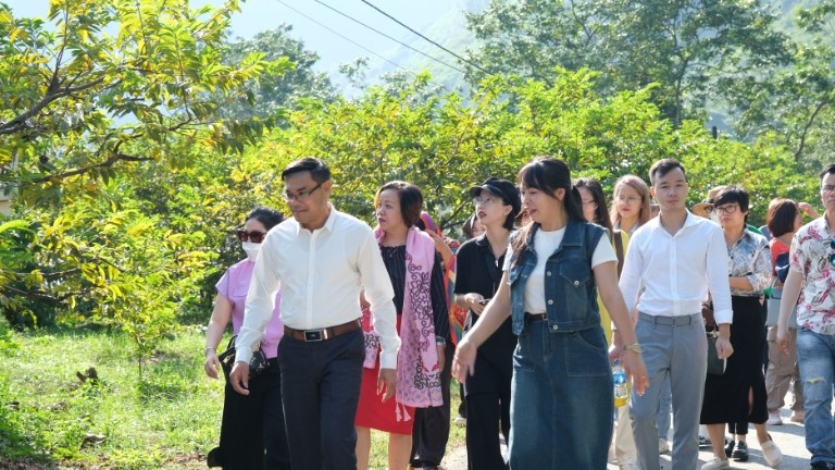 Đoàn khảo sát trải nghiệm con đường đi bộ nông thôn mới dọc sông Thương. (Ảnh: Hồ Hạ)