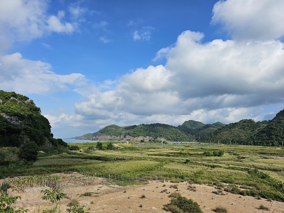 Khu vực kiểm tra thực địa. Ảnh: Thanh Sơn Khu vực kiểm tra thực địa. Ảnh: Thanh Sơn