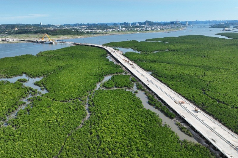 Cầu Cửa Lục 3. Ảnh: baoquangninh.vn