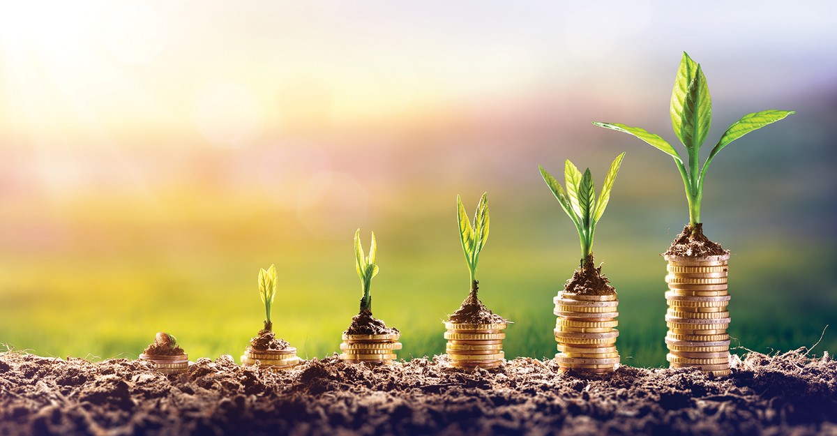 Tài chính xanh, tín dụng xanh là xu thế tất yếu khi nền kinh tế toàn cầu hướng tới mục tiêu các-bon thấp