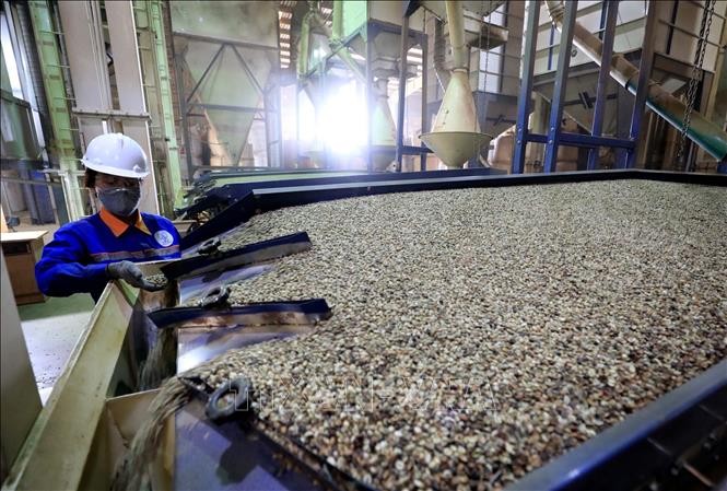 Thương hiệu Simexco của Công ty TNHH MTV Xuất nhập khẩu 2-9 Đắk Lắk đã được bảo hộ tại thị trường Mỹ qua USPTO - Văn phòng Sáng chế và Nhãn hiệu Hoa Kỳ. Ảnh: Nhật Anh/TTXVN Thương hiệu Simexco của Công ty TNHH MTV Xuất nhập khẩu 2-9 Đắk Lắk đã được bảo hộ tại thị trường Mỹ qua USPTO - Văn phòng Sáng chế và Nhãn hiệu Hoa Kỳ. Ảnh: Nhật Anh/TTXVN