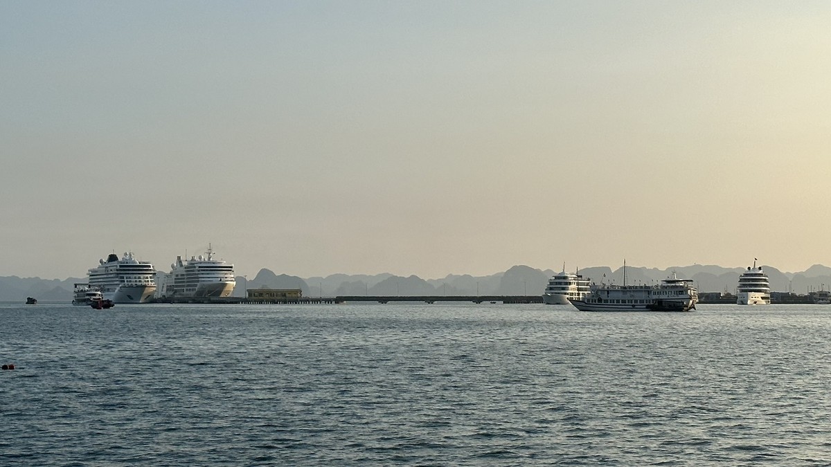 Cảng tàu quốc tế Hạ Long. Ảnh: Quỳnh Nga. Cảng tàu quốc tế Hạ Long. Ảnh: Quỳnh Nga.