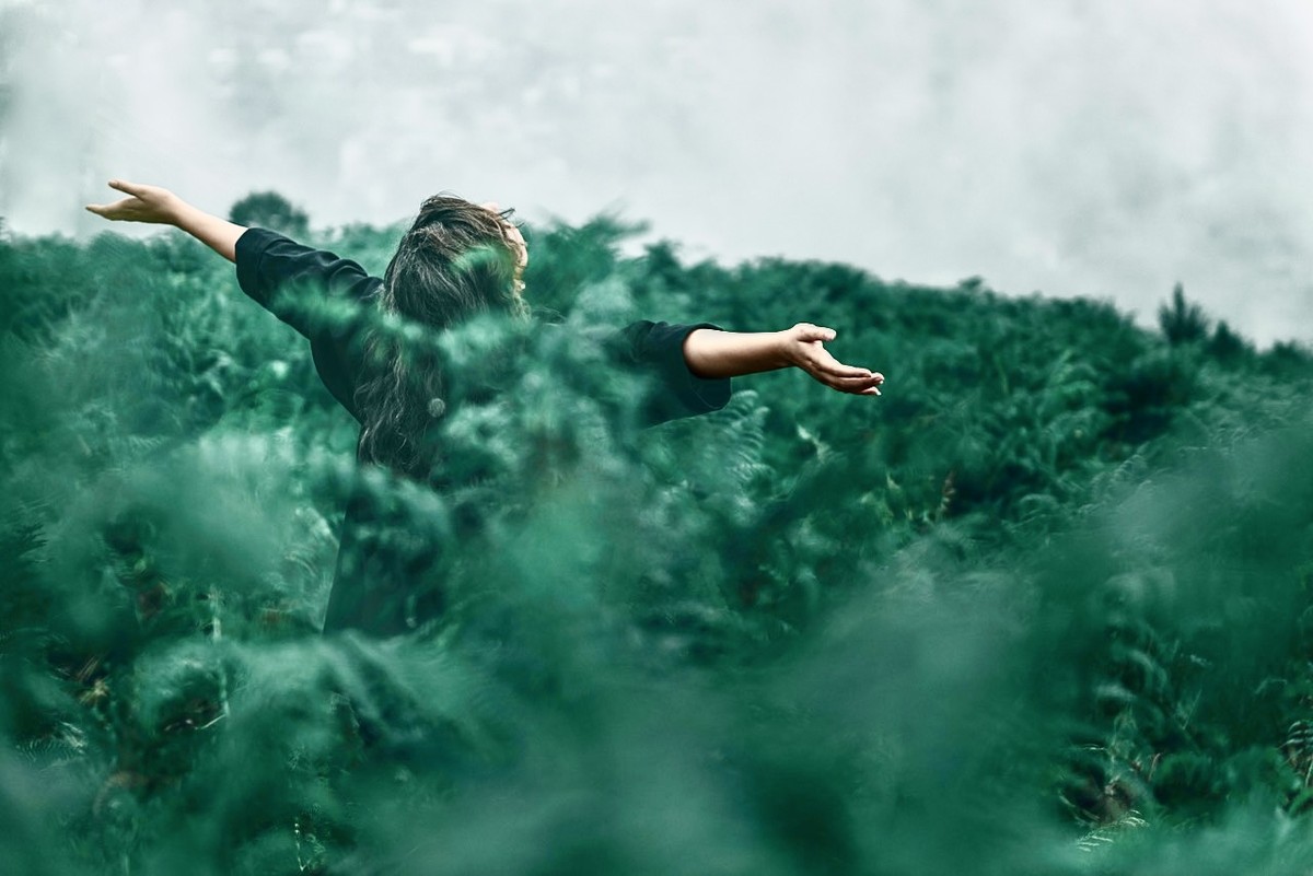 Trong xã hội hiện đại, ngày càng nhiều người muốn tìm đến các khoảng không gian xanh. Ảnh: Pexels