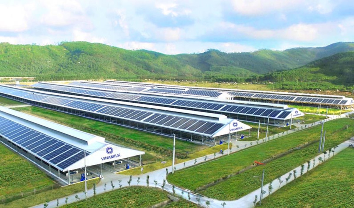 Vinamilk đã triển khai thành công hệ thống trang trại sinh thái Vinamilk Green Farm