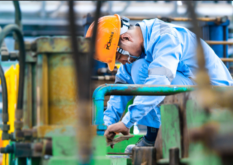 Pomina đã lỗ ròng gần 1.900 tỷ đồng trong 6 quý vừa qua.