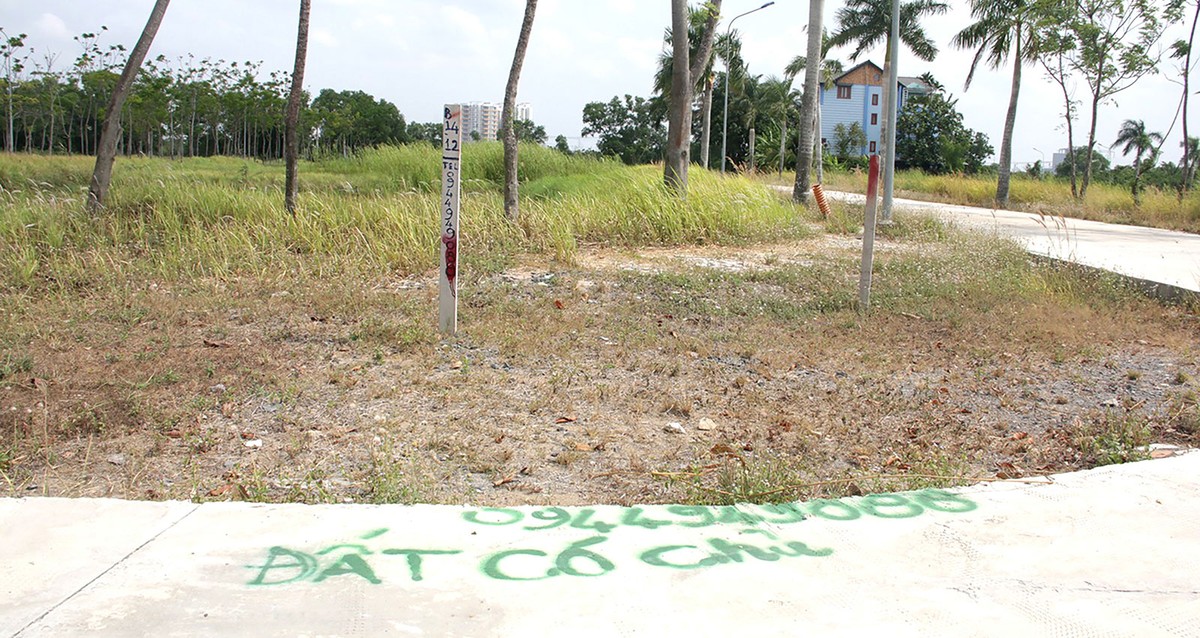 Ảnh: Việt Dũng Ảnh: Việt Dũng