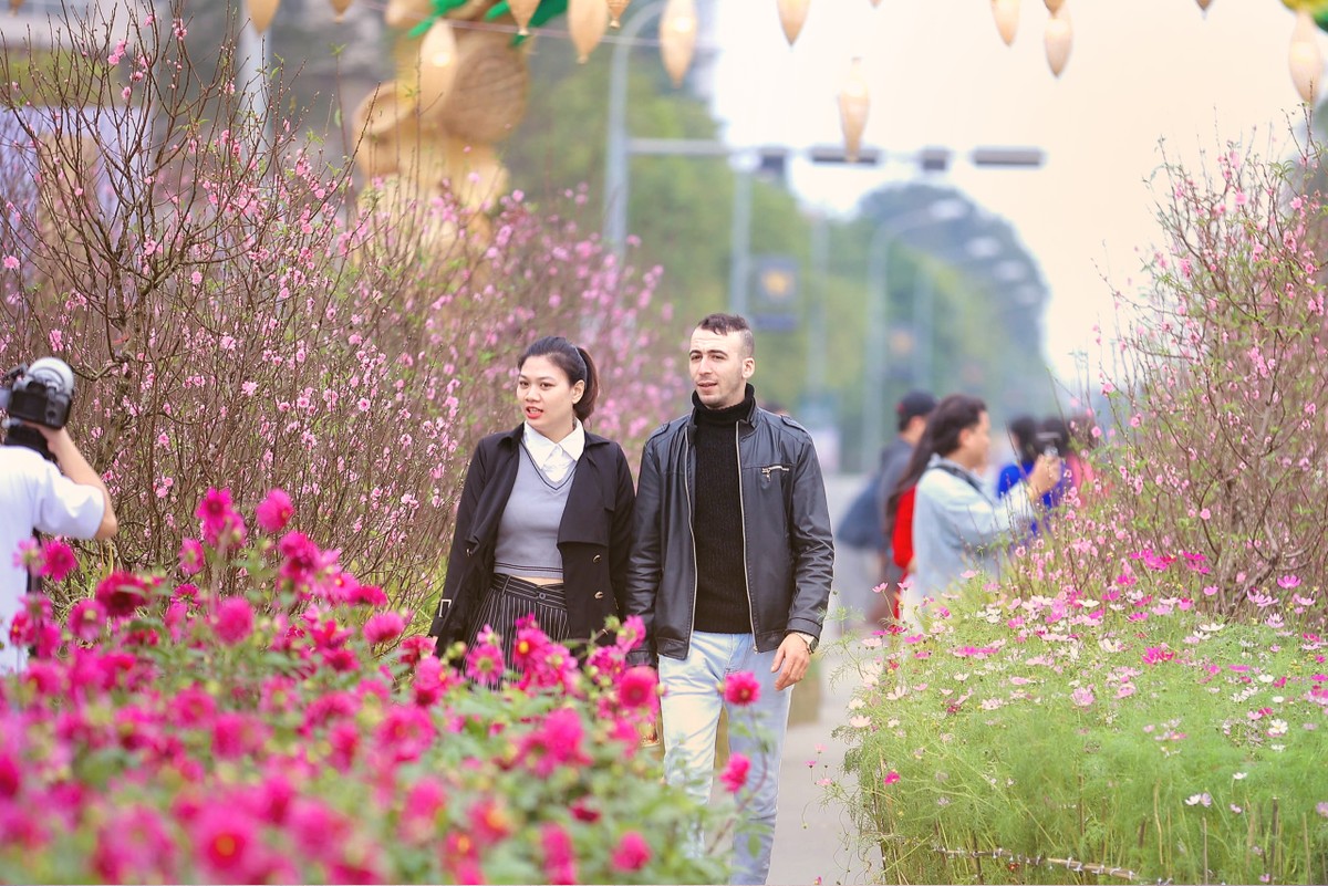 Đường hoa Home Hanoi Xuan 2024 là điểm du xuân lý tưởng tại Thủ đô Hà Nội - Ảnh: CHÍ LINH