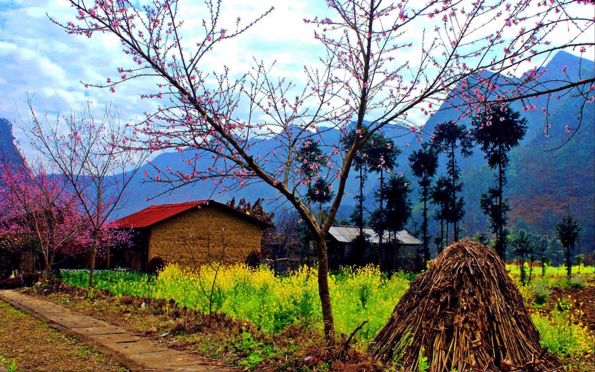 Mùa xuân Hà Giang